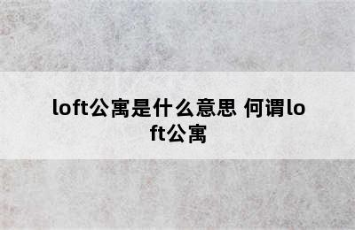 loft公寓是什么意思 何谓loft公寓